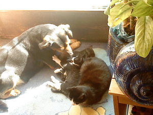 Patty Bilder Handy 196.JPG