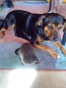 Patty Bilder Handy 181.JPG