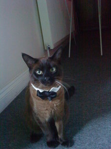 Patty Bilder Handy 011.JPG