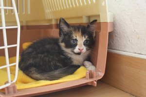 IMG_1125 [800x600].JPG