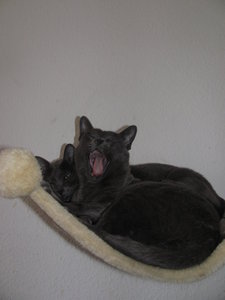 2011-06-18 12-30-23.JPG