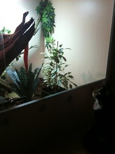 Mia und Punika 1.JPG