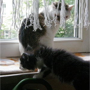 Pazla und Charlie.jpg