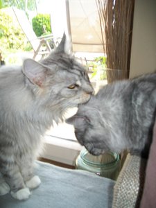 Azula und Chico 24.05 037.jpg