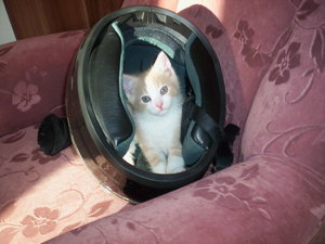 7 Wochen 2 Tage 02.JPG