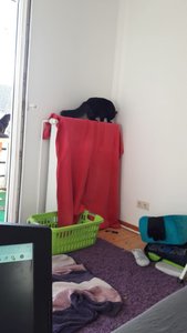 WhatsApp Image 2018-11-09 at 10.35.21.jpeg