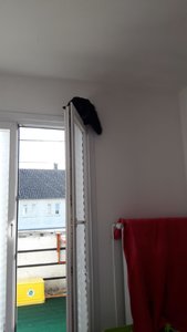 WhatsApp Image 2018-11-09 at 10.36.15.jpeg