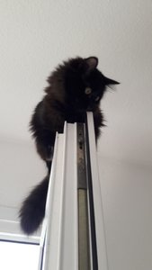 WhatsApp Image 2018-11-09 at 10.37.25.jpeg