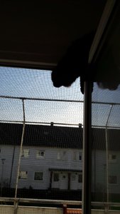 WhatsApp Image 2018-11-09 at 10.41.03.jpeg