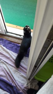 WhatsApp Image 2018-11-09 at 10.39.21.jpeg