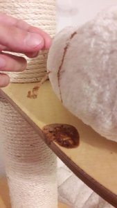 WhatsApp Image 2018-11-12 at 21.38.54.jpeg