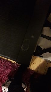 WhatsApp Image 2018-11-12 at 21.38.20.jpeg