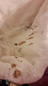 WhatsApp Image 2018-11-12 at 21.38.01.jpeg