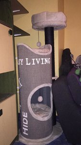 WhatsApp Image 2018-11-13 at 16.51.18.jpeg