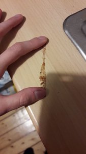 WhatsApp Image 2018-11-13 at 20.19.27.jpeg