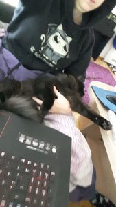 WhatsApp Image 2018-11-23 at 12.52.05.jpeg