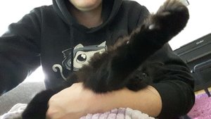 WhatsApp Image 2018-11-23 at 12.52.23.jpeg