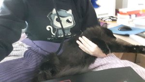 WhatsApp Image 2018-11-23 at 12.54.05.jpeg