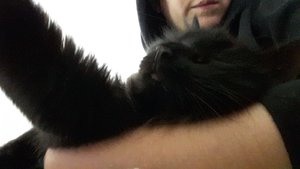 WhatsApp Image 2018-11-23 at 12.55.32.jpeg