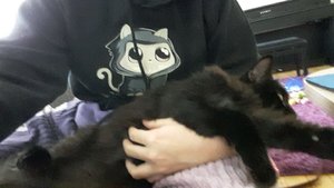 WhatsApp Image 2018-11-23 at 12.59.13.jpeg