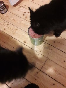 WhatsApp Image 2018-11-24 at 21.51.25.jpeg