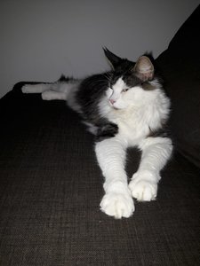 WhatsApp Image 2018-11-23 at 02.38.53(1).jpeg