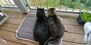 20180904_191410_HDR.jpg 20180904_191410_HDR.jpg