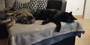 20181013_204206.jpg 20181013_204206.jpg