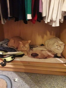 20181201_183407.jpg 20181201_183407.jpg