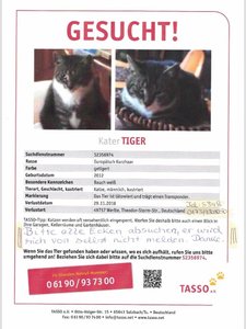 IMG-20181204-WA0000.jpg IMG-20181204-WA0000.jpg