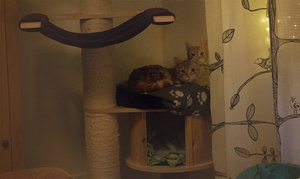 IMG_6858.jpg IMG_6858.jpg