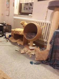 20181208_192155.jpg 20181208_192155.jpg