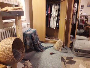 20181208_200245.jpg 20181208_200245.jpg