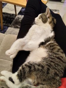 IMG_20181209_192519.jpg IMG_20181209_192519.jpg