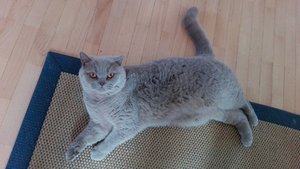 IMG_20181128_151928.jpg IMG_20181128_151928.jpg