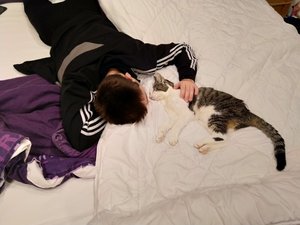 IMG_20181211_223437.jpg IMG_20181211_223437.jpg