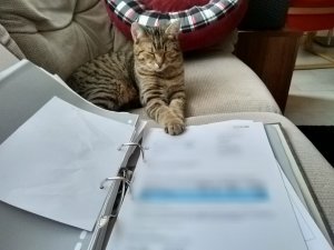 Point Blur_Dec172018_140056.jpg