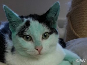 600_TH2018-12-11Noodles.jpg 600_TH2018-12-11Noodles.jpg