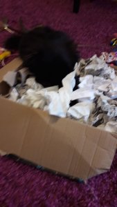 WhatsApp Image 2018-12-20 at 15.00.22.jpeg