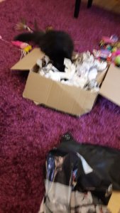 WhatsApp Image 2018-12-20 at 14.59.26.jpeg