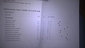 WP_20181221_20_46_32_Pro (2).jpg