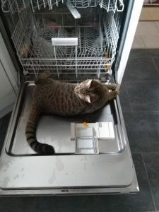 IMG_20181222_123326.jpg IMG_20181222_123326.jpg