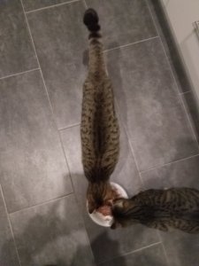 IMG_20181227_225233.jpg IMG_20181227_225233.jpg