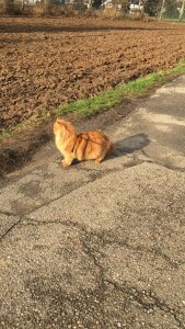 2018-12-25 12.12.58.jpg