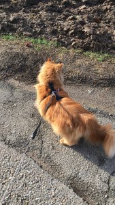 2018-12-25 12.12.40.jpg