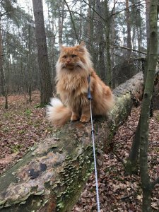 2018-12-27 12.03.53.jpg