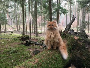 2018-12-28 12.37.08.jpg