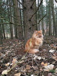 2018-12-28 12.41.23.jpg