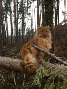 2018-12-28 13.11.57.jpg