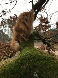 2018-12-28 13.34.43.jpg